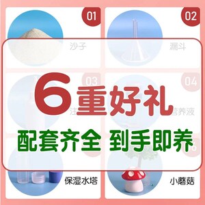 蚂蚁城堡送蚁后宠物庄园大型巢生态箱农场蚂蚁工坊蚁窝王国饲养盒