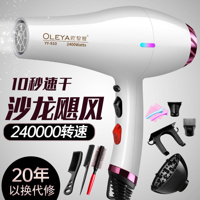 电吹风机家用大功率负离子护发强力发廊发型师专用大风力速干风筒