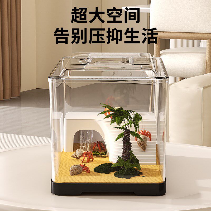 寄居蟹饲养箱套装小型桌面带爬台躲避屋相守螃蟹养殖箱乌龟饲养缸