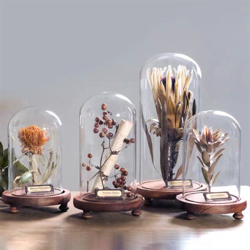 样板间植物主题软装摆件阳台花艺展示书房饰品永生花玻璃罩