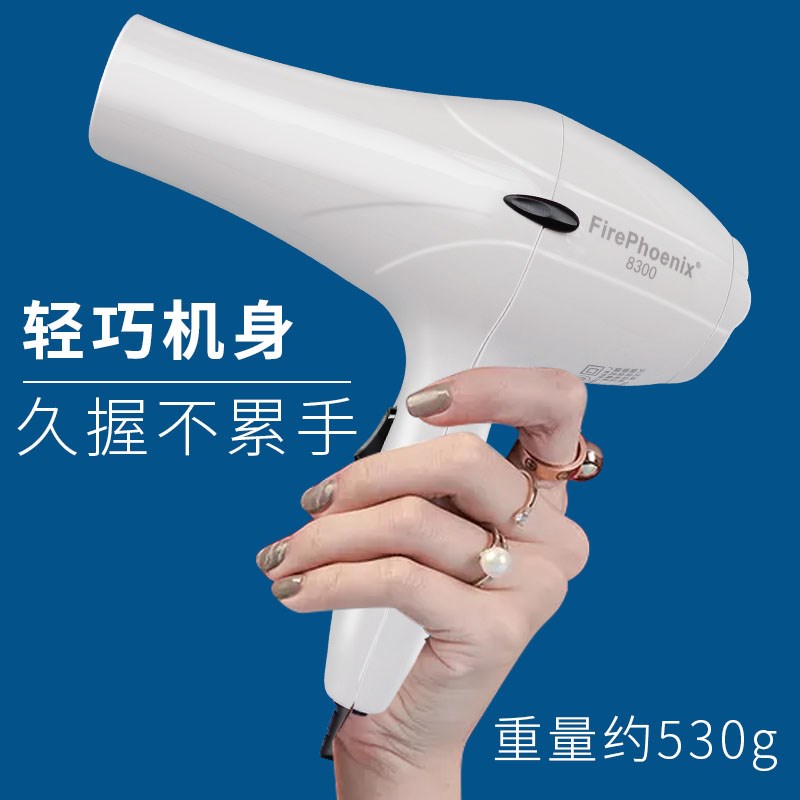 火之凤吹风机理髲店专业发廊大功率家庭用静音强风速干吹风机3000