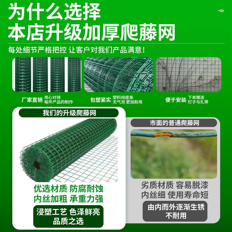 月季爬藤网植物攀爬网种植农用方格网新型造型专用铁丝网家用庭院