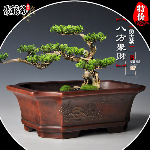 紫砂盆景盆 长方形马槽假山造景盆小叶紫檀文竹菖蒲盆栽花盆清仓