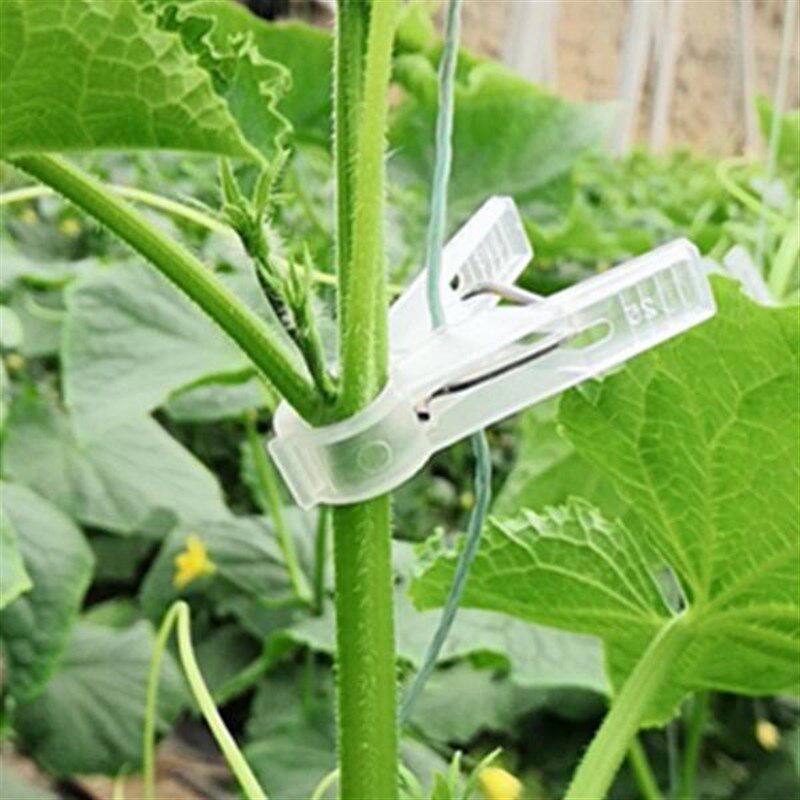 大棚黄瓜夹子番茄番茄绑蔓夹吊秧夹吊蔓夹扶蔓夹落蔓夹落秧夹