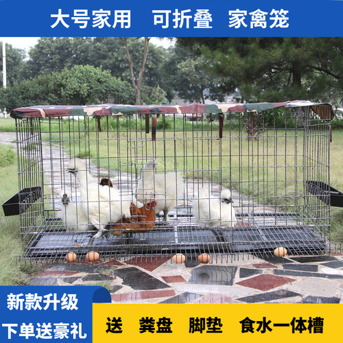 鸡笼子家用加粗大号养殖笼折叠鸭笼鹅笼狗笼自动滚蛋鸡笼厂家直发