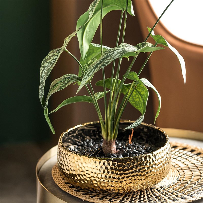 金色陶瓷花盆大口径客厅高级感轻奢蝴蝶兰铜钱草水仙水培植物无孔