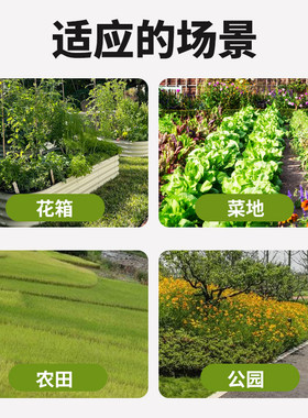 蚯蚓塔松土蚯蚓厨余堆肥箱堆肥桶户外花园学校培养养殖箱粪狗屎塔