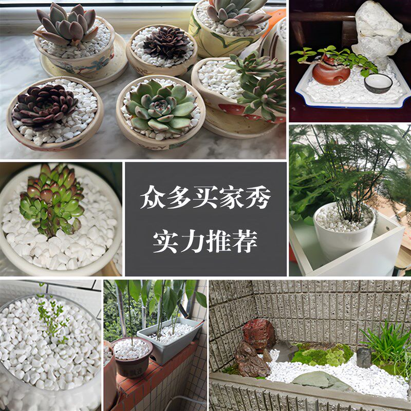 小白石子白石头鹅卵石雨花石花盆盆栽鱼缸底部砂石造景多肉铺面石
