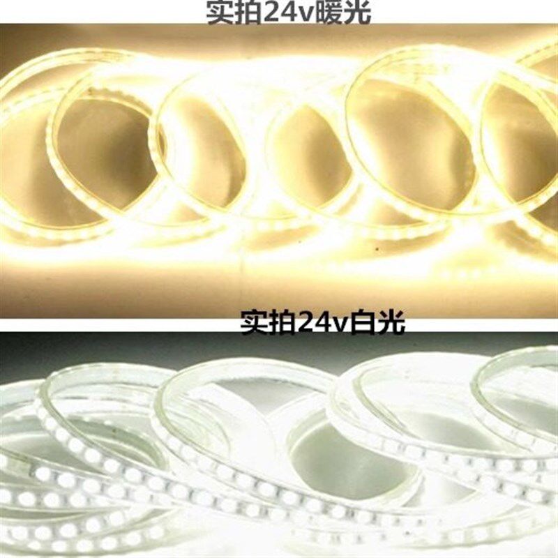 led白光灯带24v36v220v整卷100米低压高压防水隧道工地下室超高亮