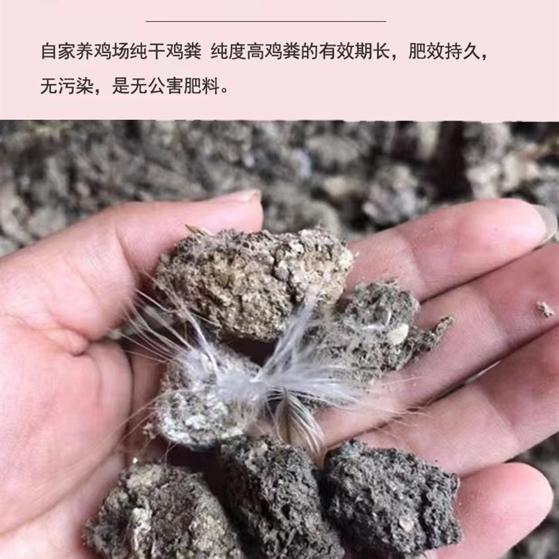 优质50斤纯干鸡粪块农家鸡粪有机肥发酵有机肥鸡屎肥料无杂质包邮