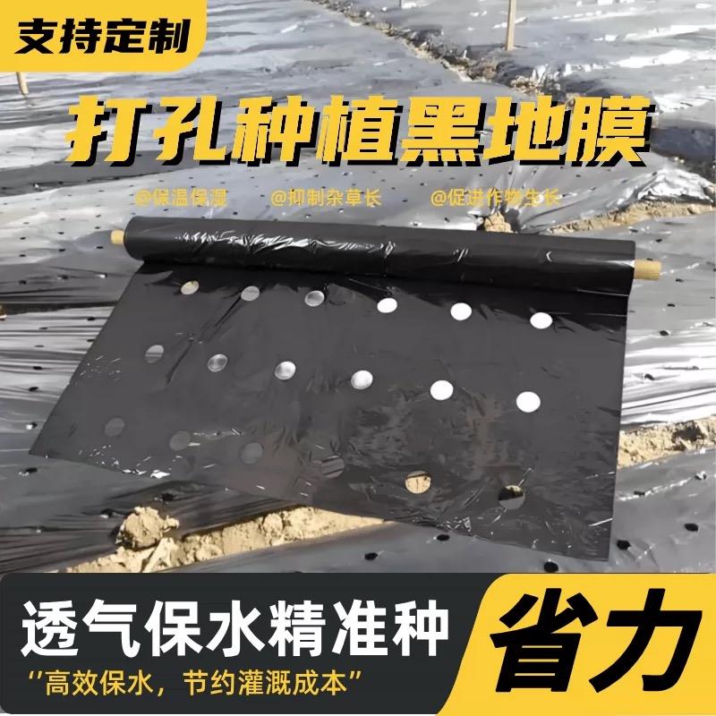 打孔黑地膜农用带孔有孔银黑地膜防草种菜种植辣椒大蒜玉米专用膜
