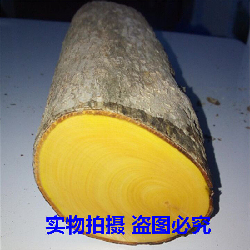 正宗湖北黄杨木料木雕刻练手料原木段小笔筒料印章镇尺文玩摆件