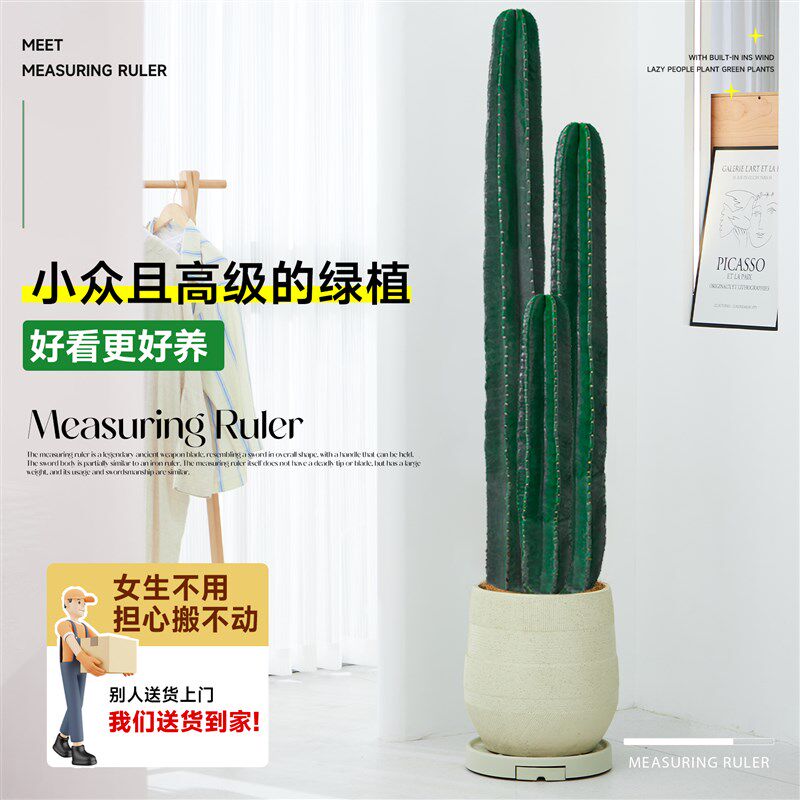 量天尺仙人柱绿植盆栽仙人掌大型植物室内客厅落地多肉禄植好养活