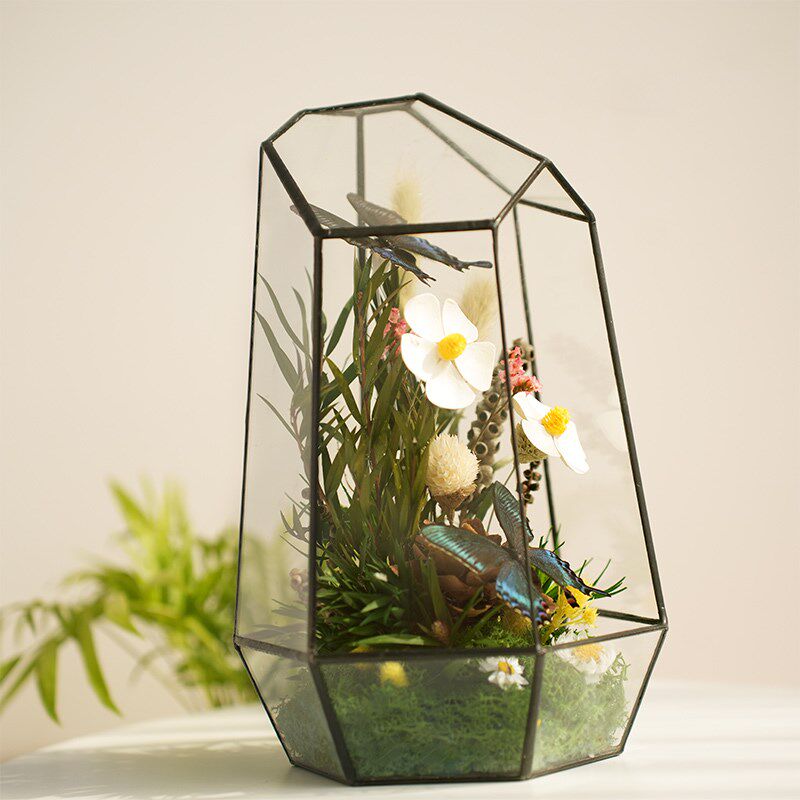 永生苔藓微景观玻璃花房成品植物标本摆件生态植物迷你缸