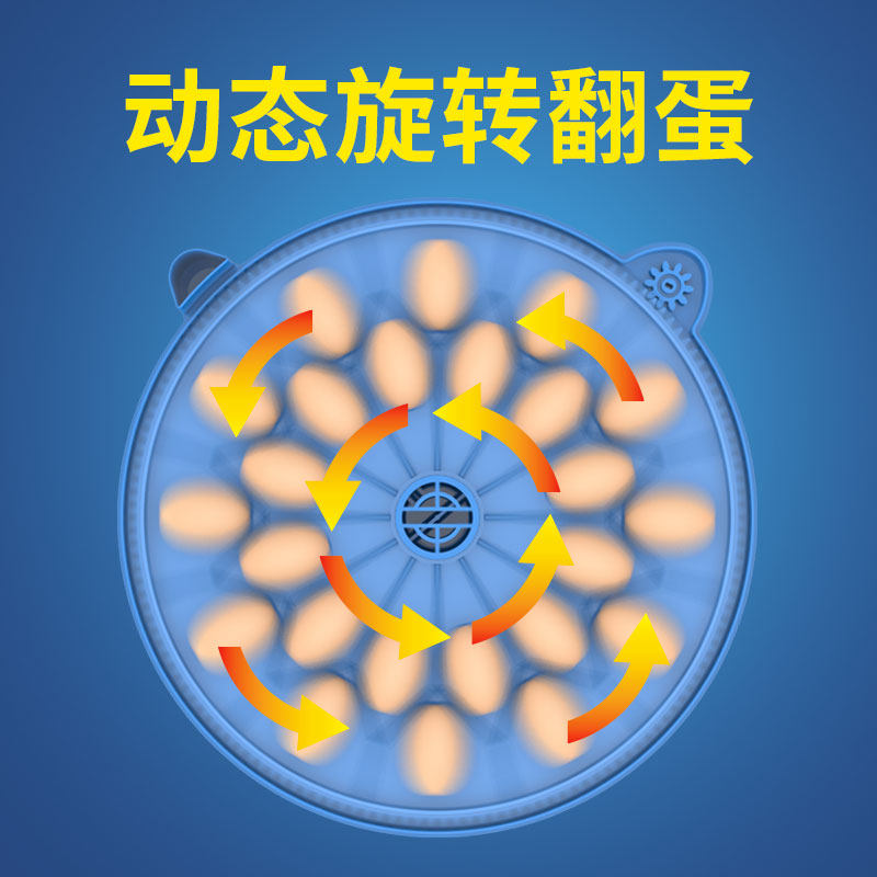 孵化器小型家用迷你孵化机小飞碟孵蛋器柯尔鸭智能鹦鹉鸟蛋孵化箱
