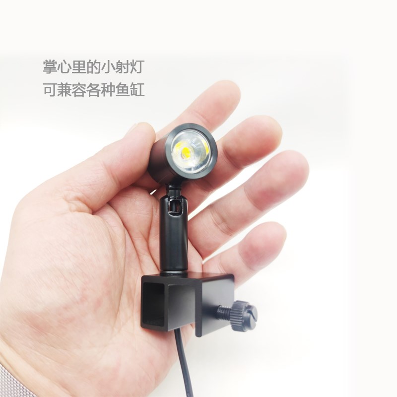 凯撒微缸夜灯日出日落雷龙斗鱼卷贝缸南美溪流三湖造景水草射灯