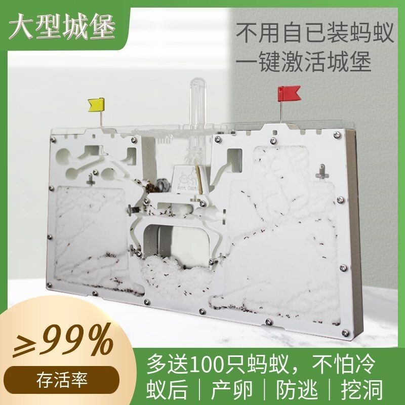 蚂蚁生态箱城堡超大型蚂蚁送蚁后学生观察繁殖版双工坊蚁巢宠物窝