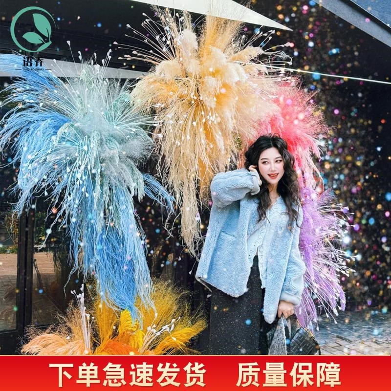 仿真芦苇草羽毛芦苇植物落地客厅家居装饰摆设摄影仿真烟花狗尾草
