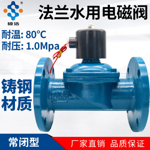 铸钢法兰电磁阀220V24V水阀32寸控制50放水开关65电动80阀门DN100