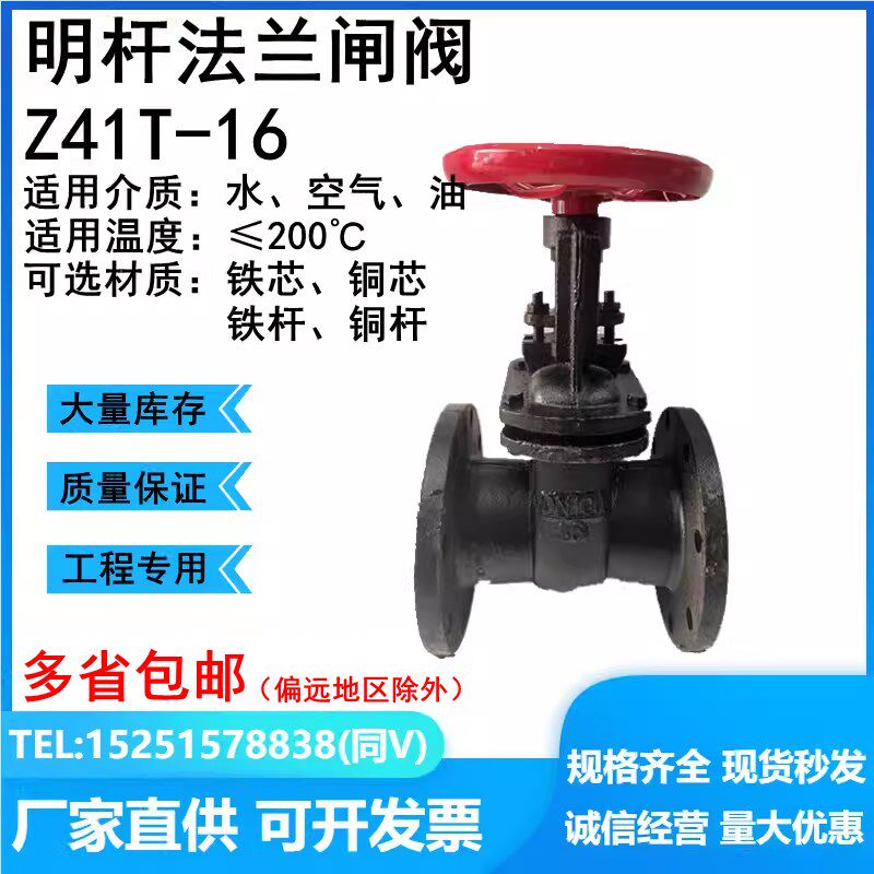 Z41T明杆法兰闸阀铸铁铜芯铜杆闸阀HT200DN40 50 65 80 100