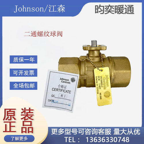 江森VG1205AN/BN VG1205CP VG1205ES FT电动二通螺纹球阀VA9104