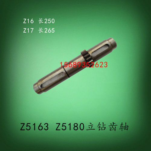 常州大河福临Z5163BZ5180C立钻齿轴齿轮轴进给轴Z16Z17长250Z17M3