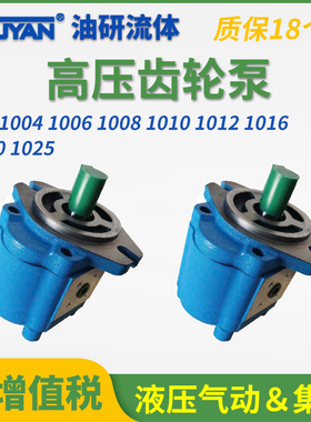 A1FL高压B1FR齿轮泵CBK1004/1006/1008/1010/1012/1016/1020/1025