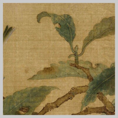 宋 林椿 枇杷山鸟图 工笔花鸟 宋画小品 国画 微喷复制临摹装饰画