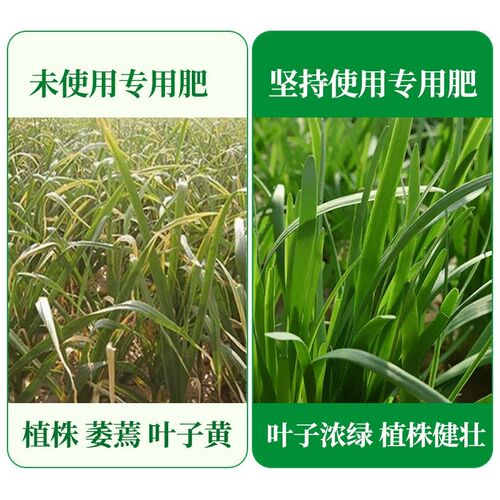 韭菜专用肥料增根壮苗旺株叶面肥葱姜蒜蔬菜通用有机肥园艺颗粒肥