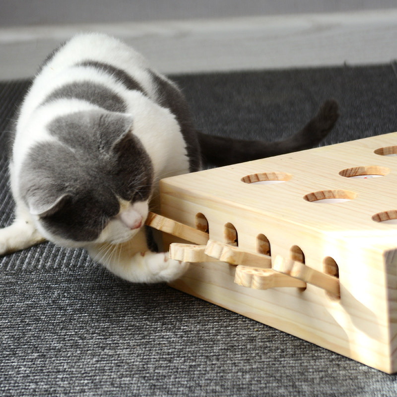 喵仙儿打地鼠猫玩具益智猫玩具逗猫玩具猫捉老鼠宠物玩具包邮