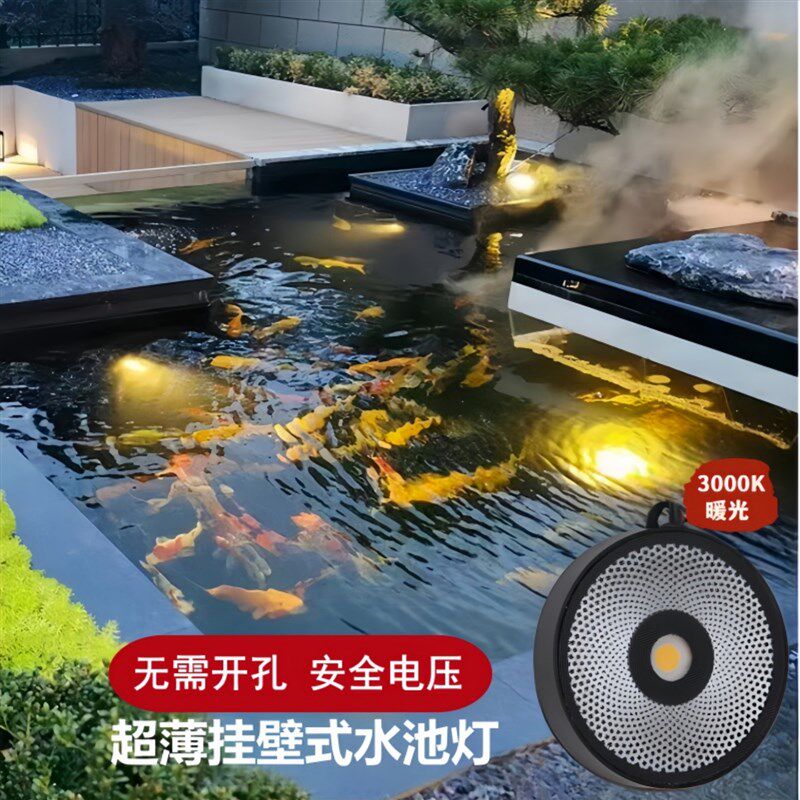 鱼池景观灯水下射灯led水池灯防水壁灯低压水底灯冰蓝鱼池水下灯