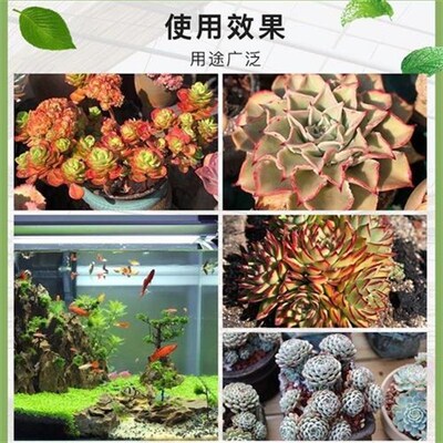 绿沸石颗粒多肉铺面石园艺土壤改良基质盆栽装饰天然绿色小石头子