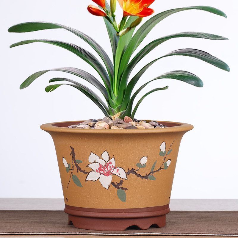 精品宜兴紫砂花盆兰花盆君子兰吊兰盆栽绿植中国风兰草盆景盆清仓
