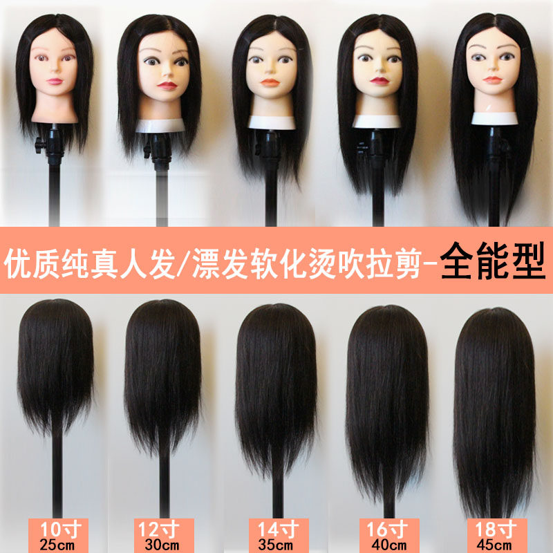 模特头模美发专用可烫染剪发全真发假人模型头发模具头模全真学徒