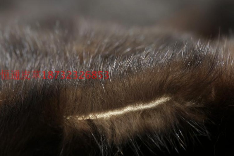纯水貂毛保暖防潮御寒块皮拼毛皮一体床垫床褥盖毯榻榻米垫子褥子
