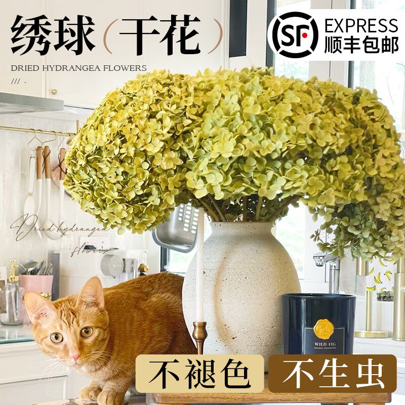 绣球干花真花风干天然diy材料客厅摆设室内插花束装饰摆件高级感