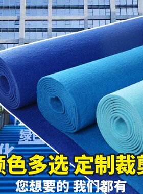 金宁紫色蓝色地毯婚庆一次性展会舞台开业店铺门口迎宾加厚长期用