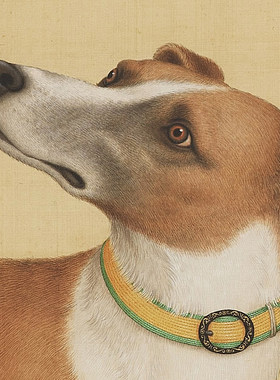 郎世宁十骏犬图十犬图传统工笔狗临摹范本中式装饰画艺术绢布画心