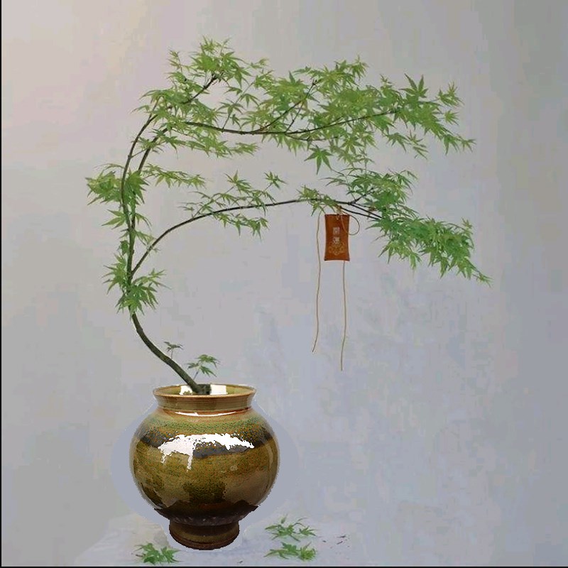 景德镇陶瓷手工拉坯创意透气陶罐花盆花插月亮罐土陶罐子流泉枫盆