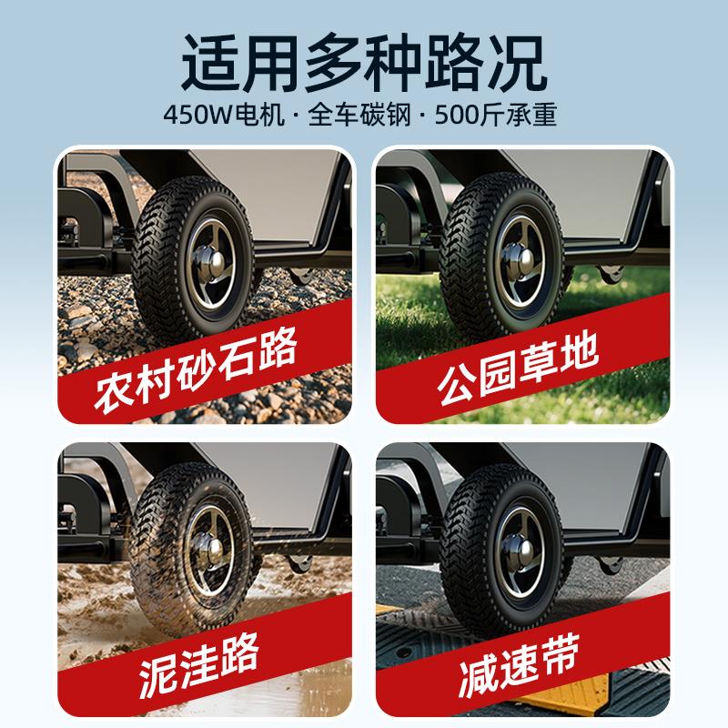 老年代步车家用小型双人折叠残疾人助力车防摔新款老人电动四轮车