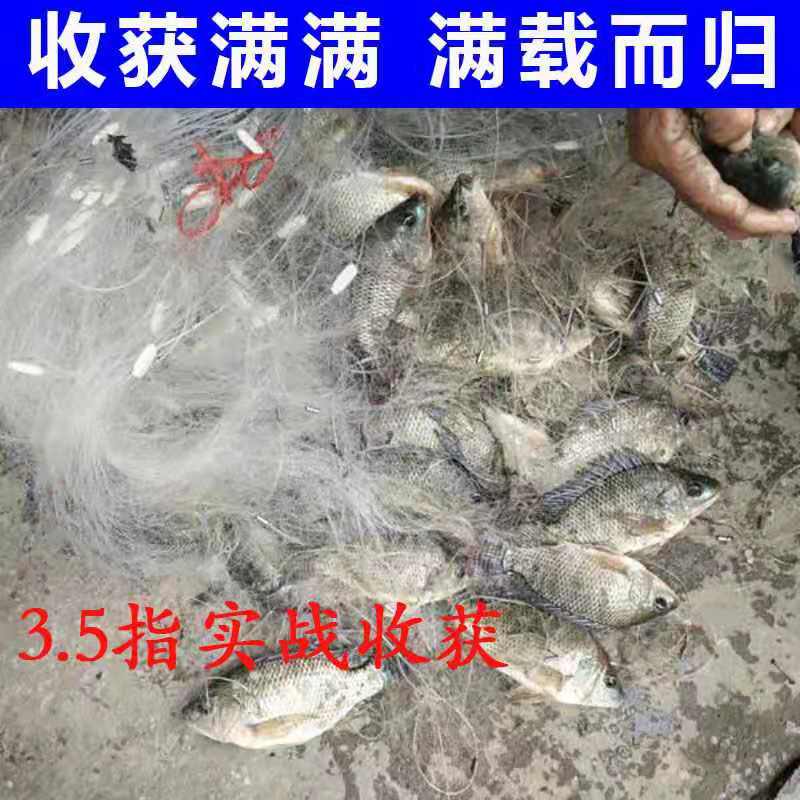鲫鱼网胶丝纲三层沉网渔网3指柔丝粘网捕鱼网丝网加重小外套细丝