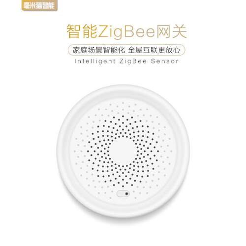 涂鸦zigbee智能温湿度传感器感网关门磁红外燃气烟雾报警漏水人存