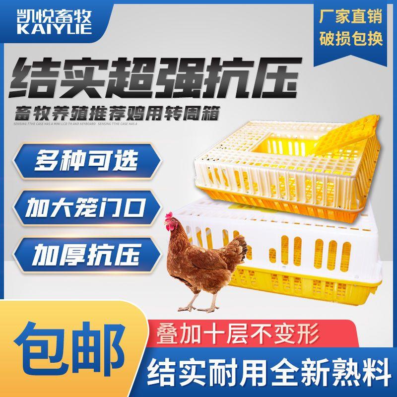 鸡笼运输笼塑料家禽周转箱筐成鸡鸭鹅鸽子笼子家用大号兔笼养殖笼图片
