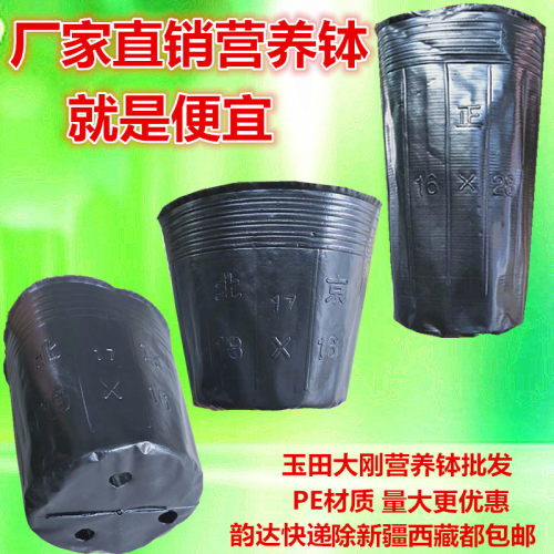 树苗营养钵细高型育苗盆育苗杯营养杯育苗袋塑料营养袋高杯樟子松