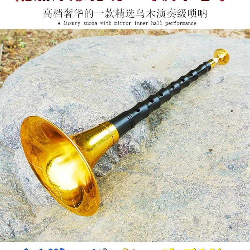 笛子唢呐乐器全套6孔笛子指法演奏大音量专业乌木降b调初学者d调