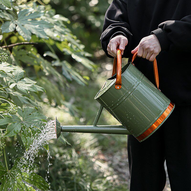 复古绿拼色铁艺双手柄超大容量洒水壶家用8L浇花水壶花园庭院淋壶