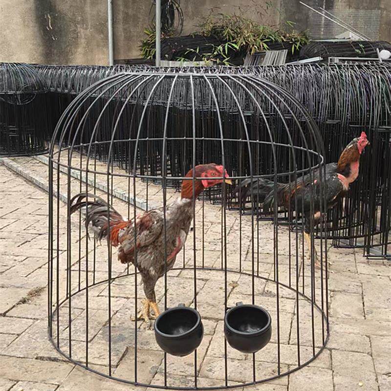 大号加密斗鸡罩笼新款圆笼子折叠笼子鸡笼子专用笼加厚养鸡笼铁笼