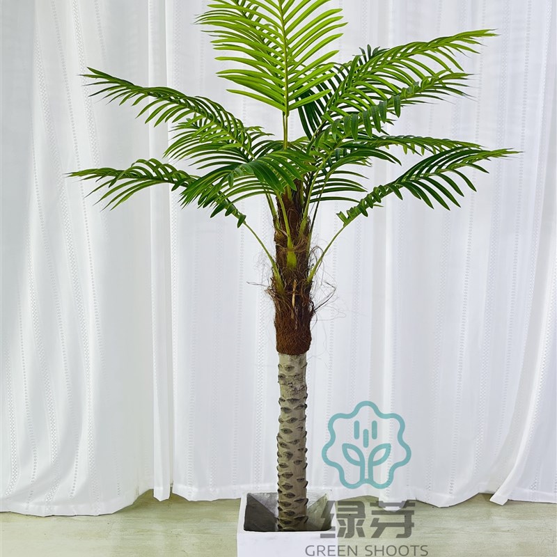 仿真小椰子树植物盆栽拍摄道具落地绿植摆件盆景装饰定制家居包邮