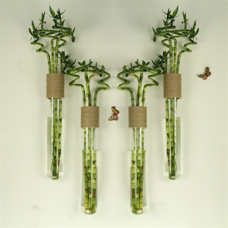 新品zakka富贵竹麻绳玻璃花瓶转运竹大花插花器家居装饰墙面壁挂