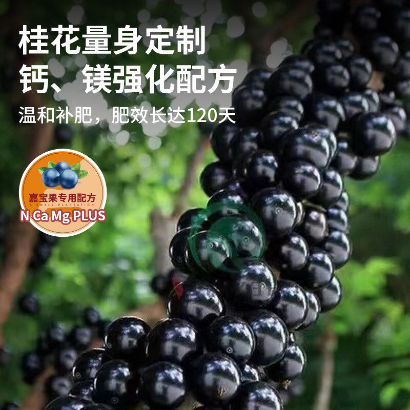嘉宝果专用肥料树葡萄缓释肥催花复合颗粒营养有机肥果树珍宝促果